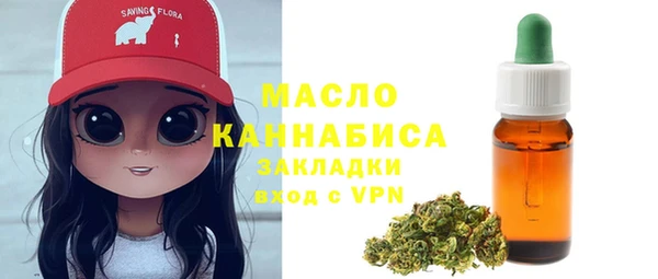 молекула духа Медвежьегорск