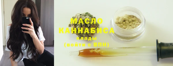 молекула духа Медвежьегорск