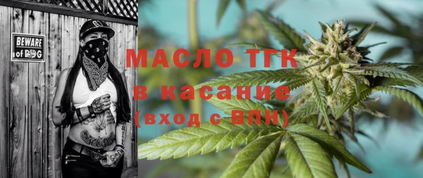молекула духа Медвежьегорск