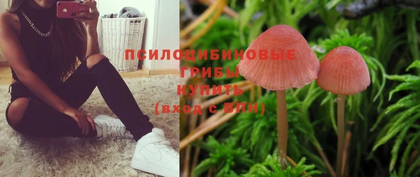 молекула духа Медвежьегорск