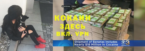 молекула духа Медвежьегорск