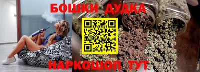 индика Беслан