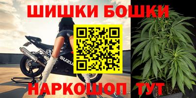 индика Беслан