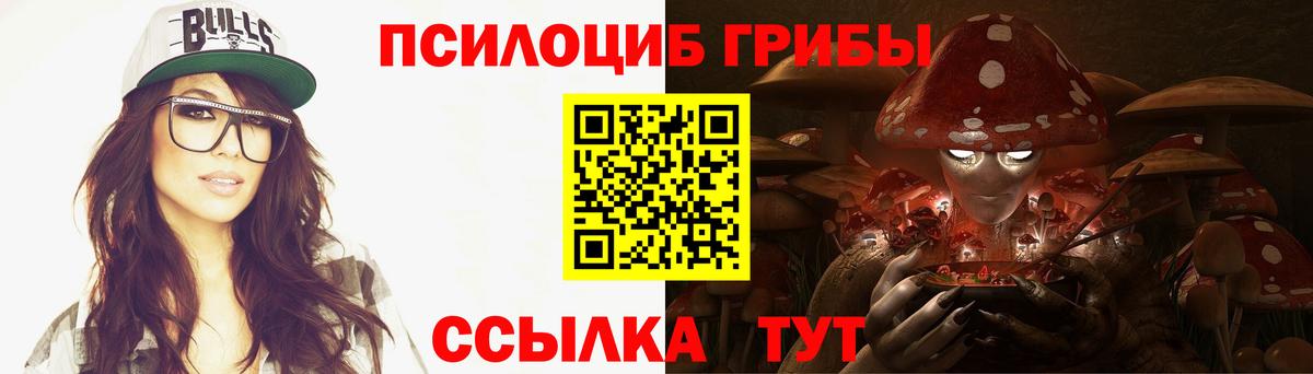 Галлюциногенные грибы GOLDEN TEACHER  Вход с VPN  купить наркотик  Кашира  Галлюциногенные грибы GOLDEN TEACHER 