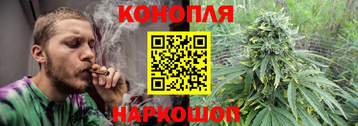 Каннабис ГИДРОПОН Кашира